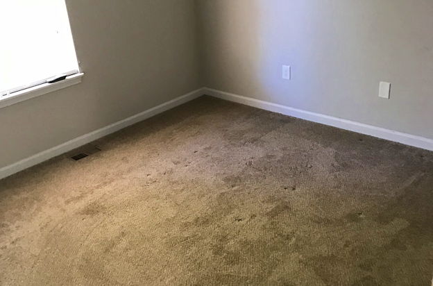 house picture