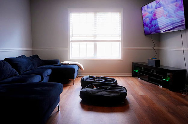 house picture