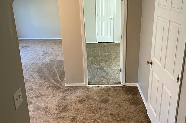house picture