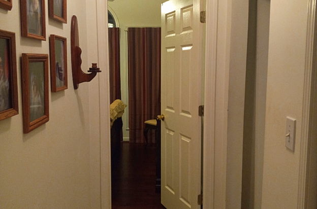 house picture