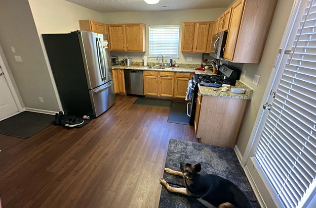 house picture