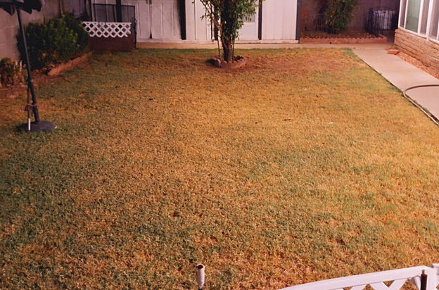 house picture