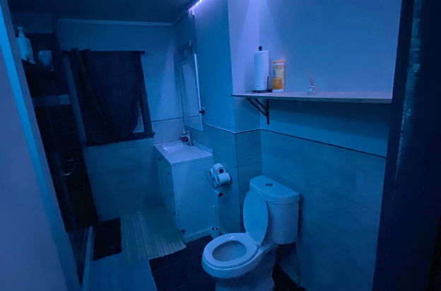 house picture