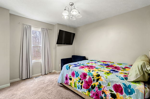 house picture