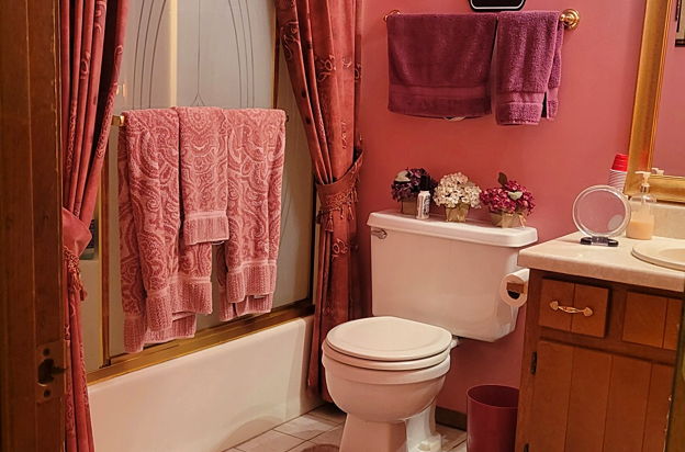 house picture