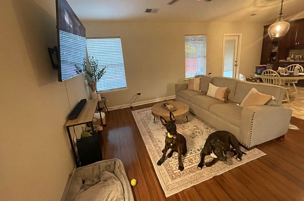 house picture