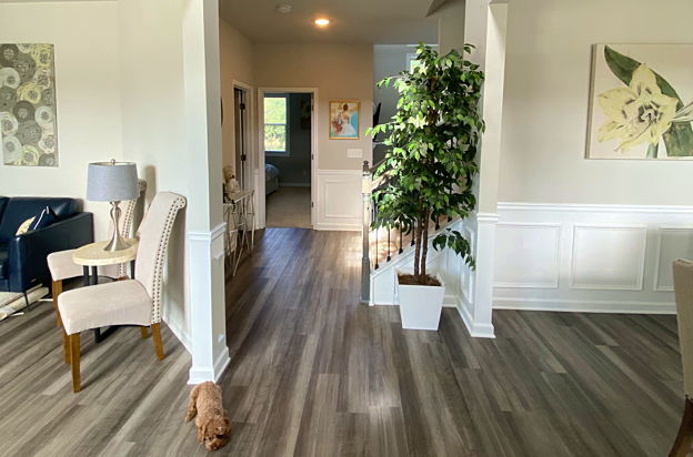 house picture