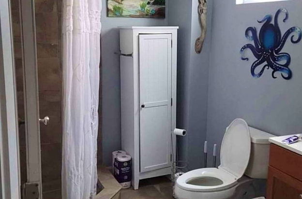 house picture