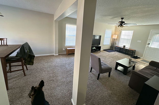 house picture