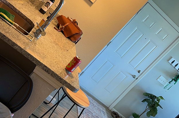 house picture