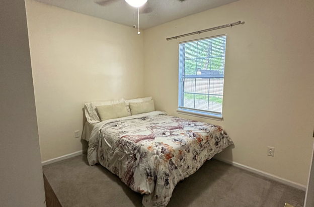 house picture