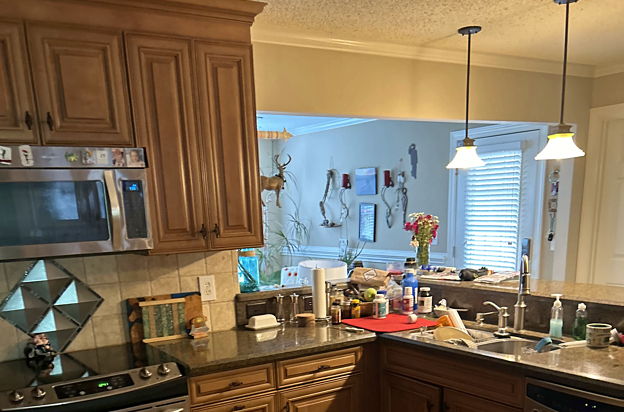 house picture