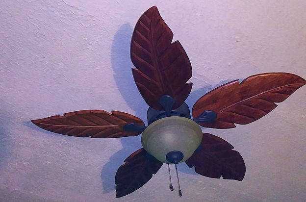 house picture