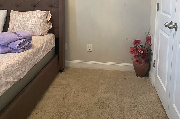 house picture