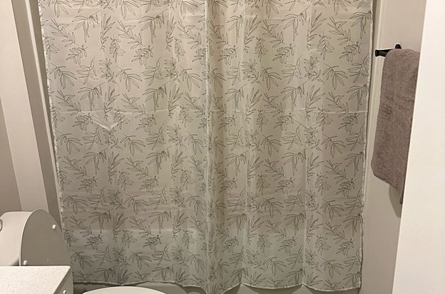 house picture
