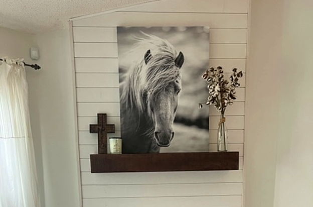 house picture