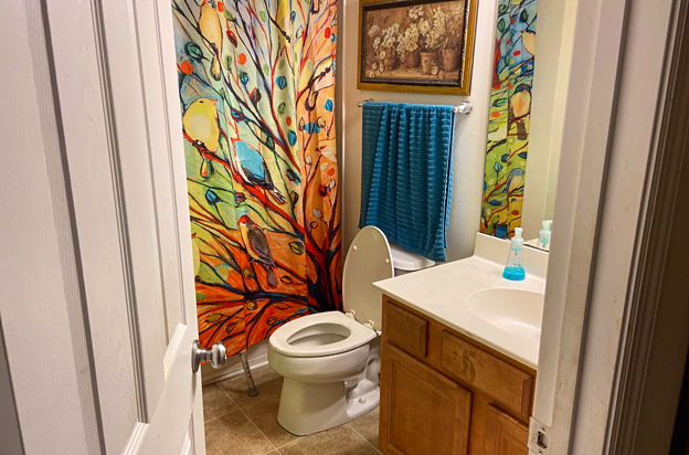 house picture