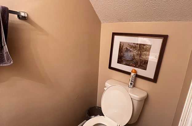 house picture
