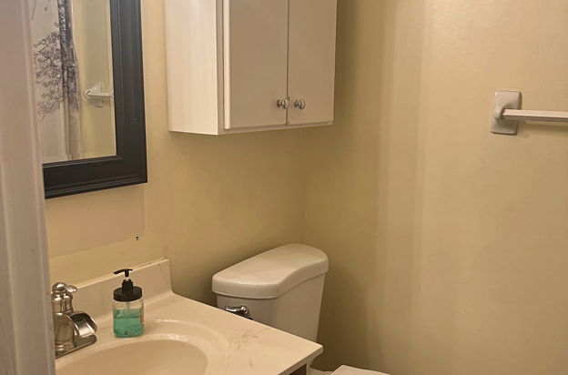 house picture