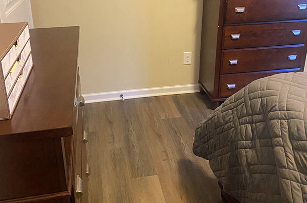 house picture