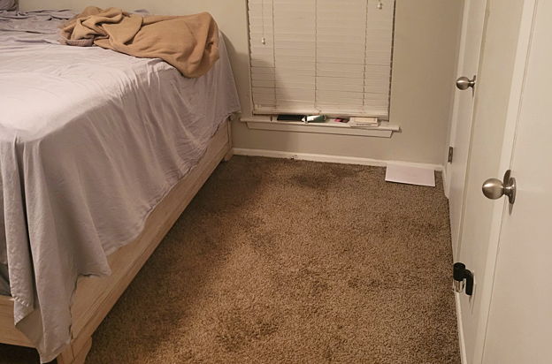 house picture