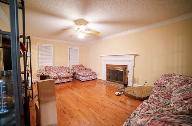 house picture