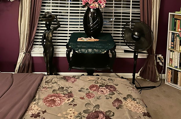 house picture