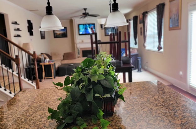 house picture