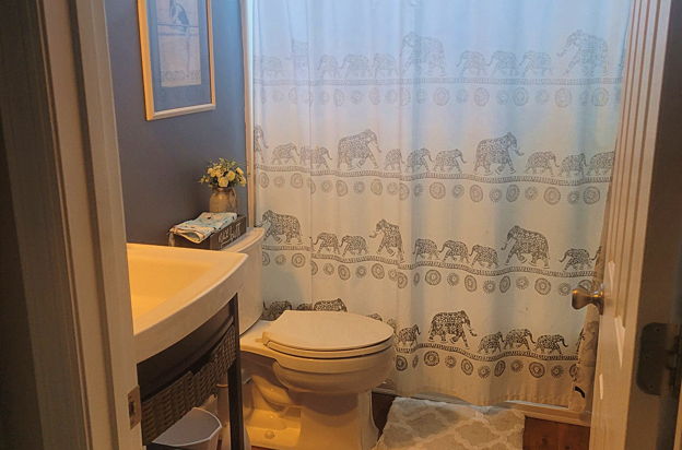 house picture