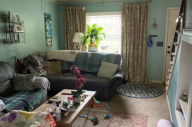 house picture