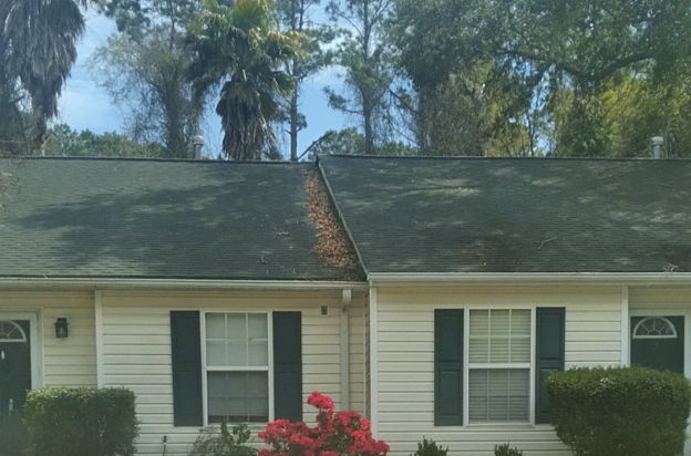 house picture