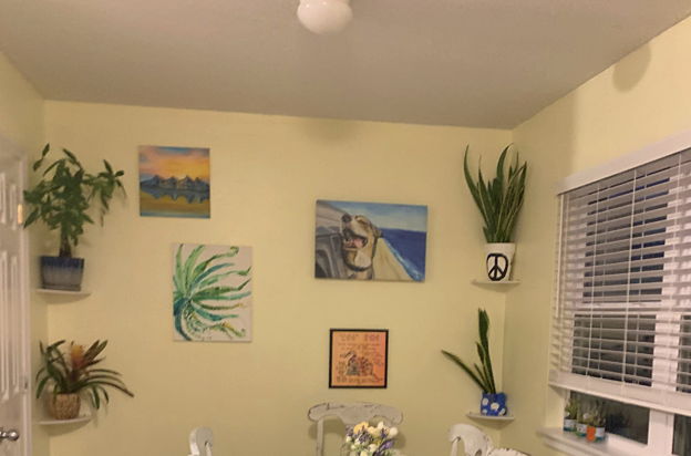 house picture