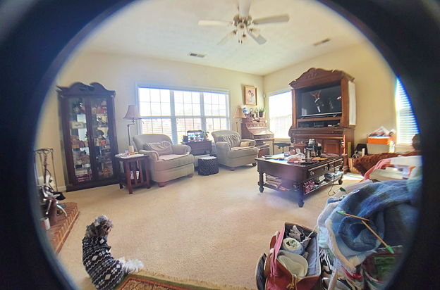 house picture