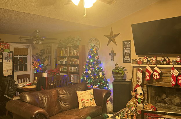 house picture