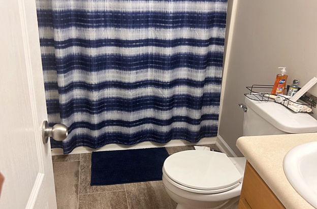 house picture