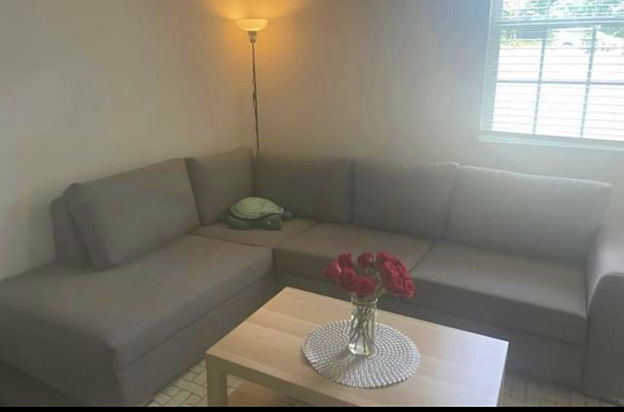 house picture