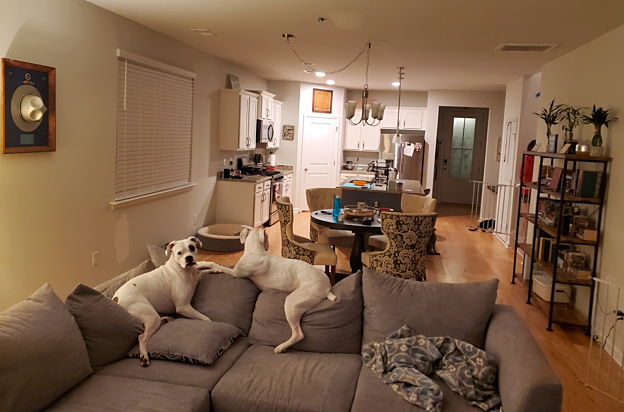 house picture