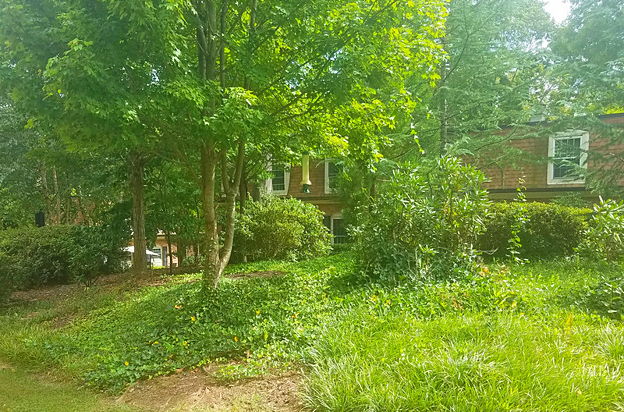 house picture