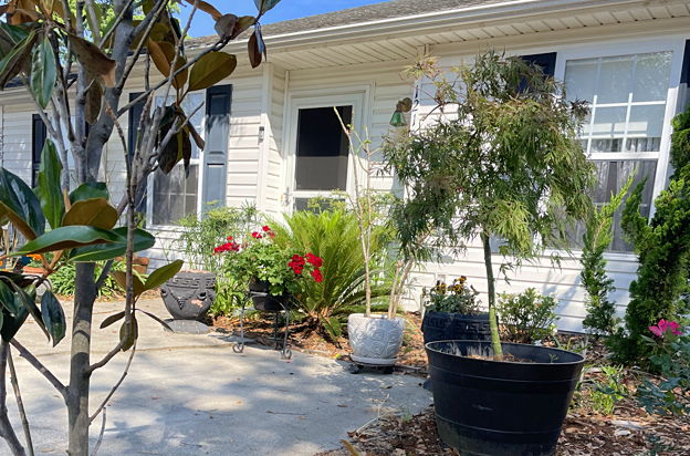 house picture